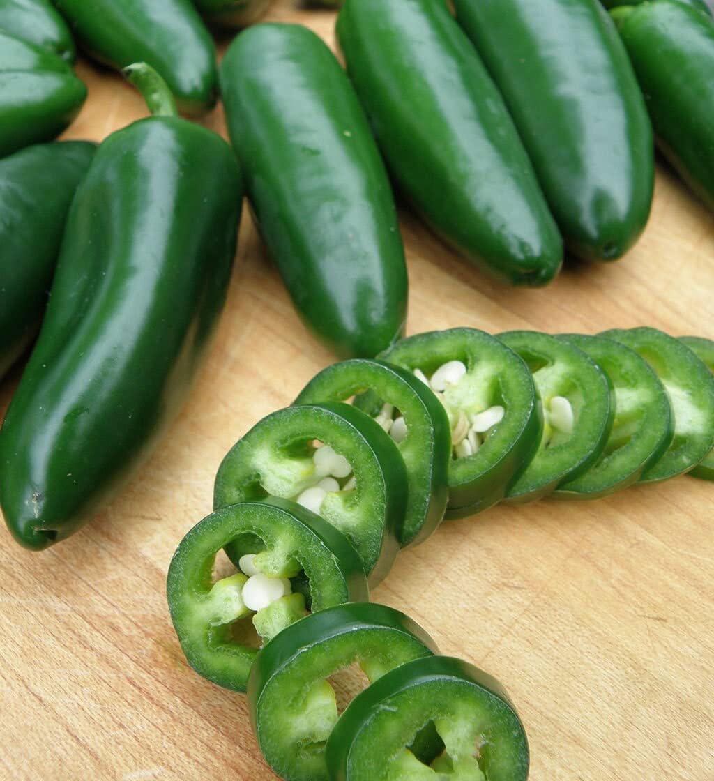 Semillas de pimiento Jalapeño M – Paquete de 100 unidades – para 2024 8,000 Scoville Medio Caliente Verde Oscuro Jalapeños Chile picante Chile