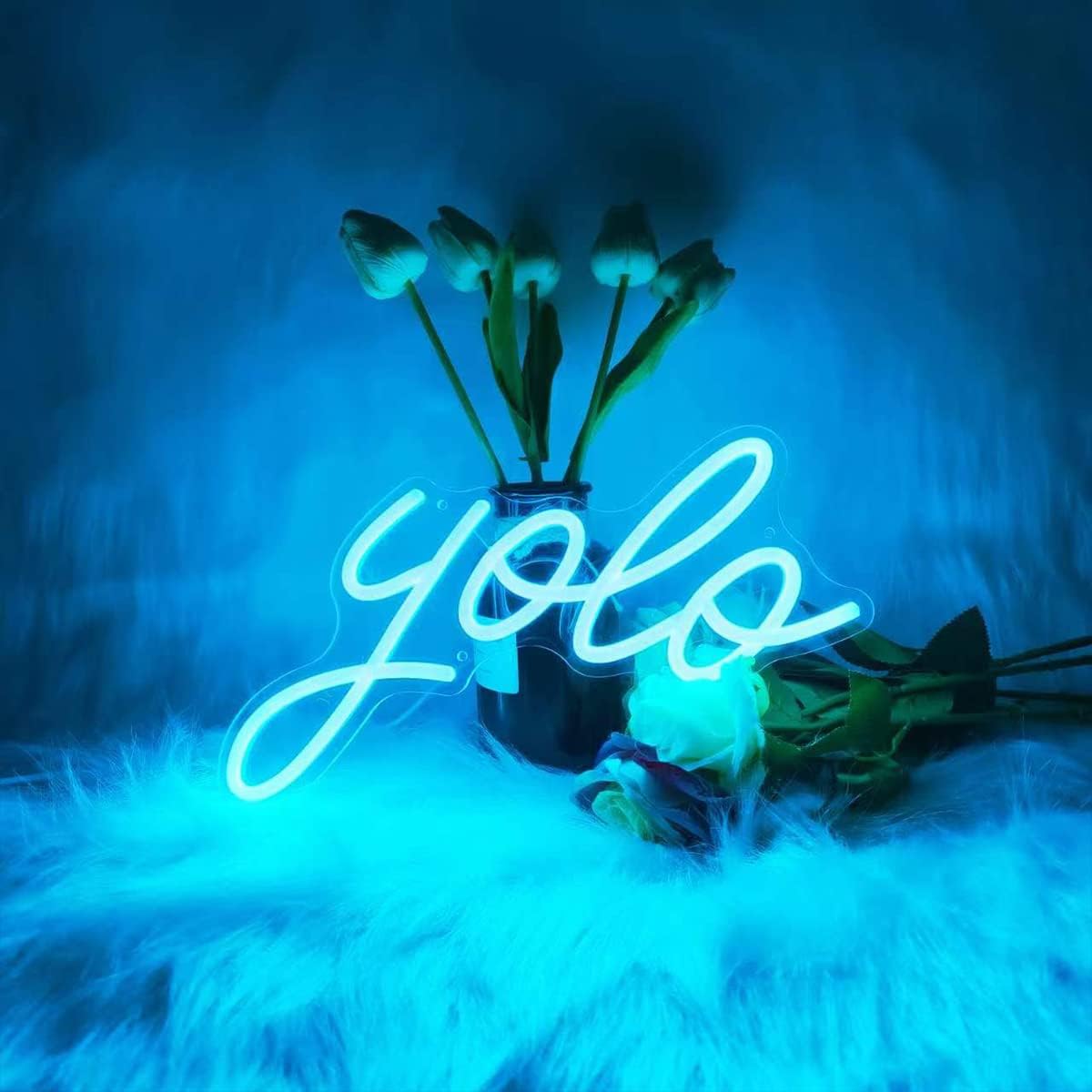 Letrero de neón Yolo para decoración de pared, luz de neón alimentada por USB con atenuador, luces de neón Yolo para dormitorio, oficina