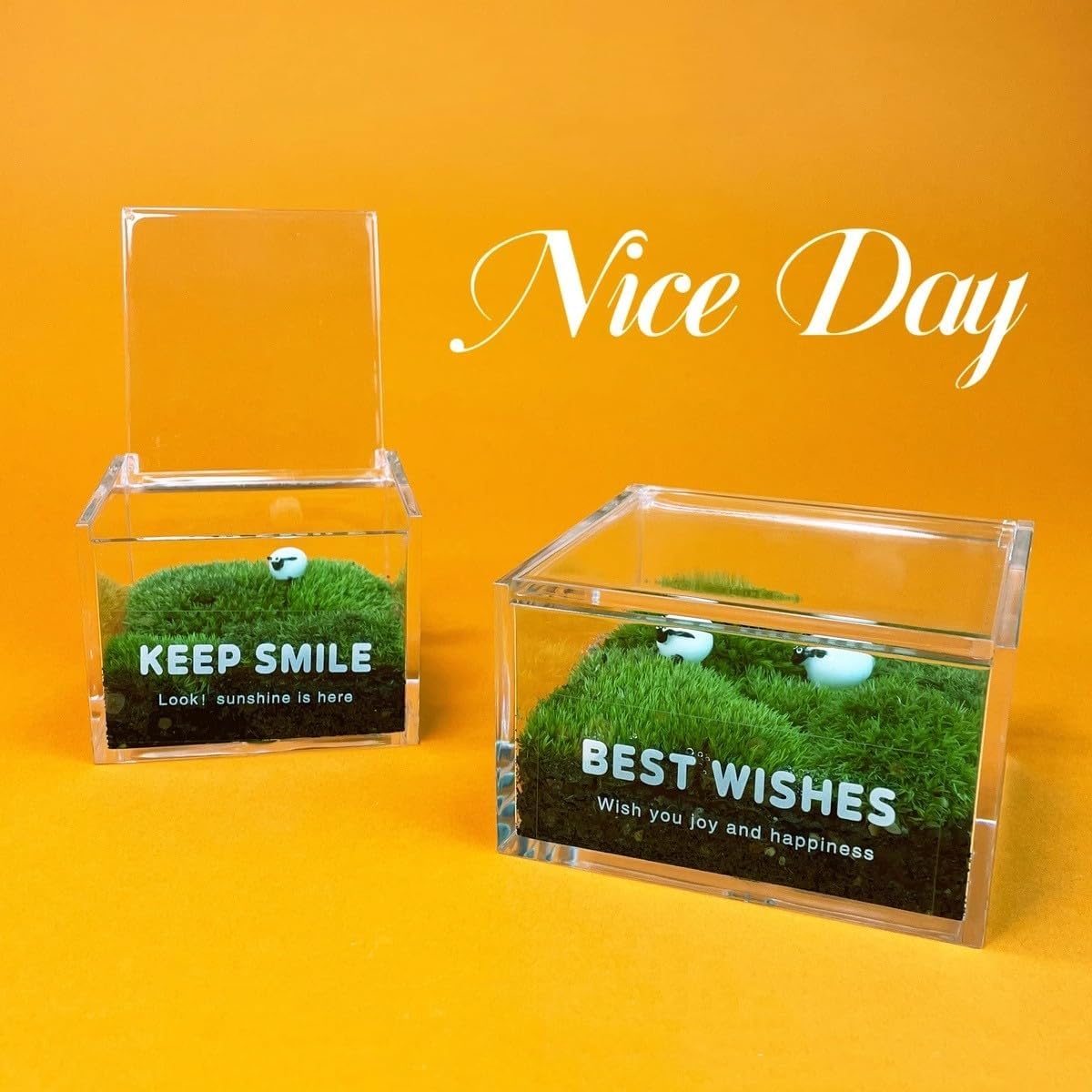 KissYou Caja de acrílico con tapa, caja de almacenamiento transparente, soporte para cápsulas de café, accesorios organizadores, antipolvo, caja