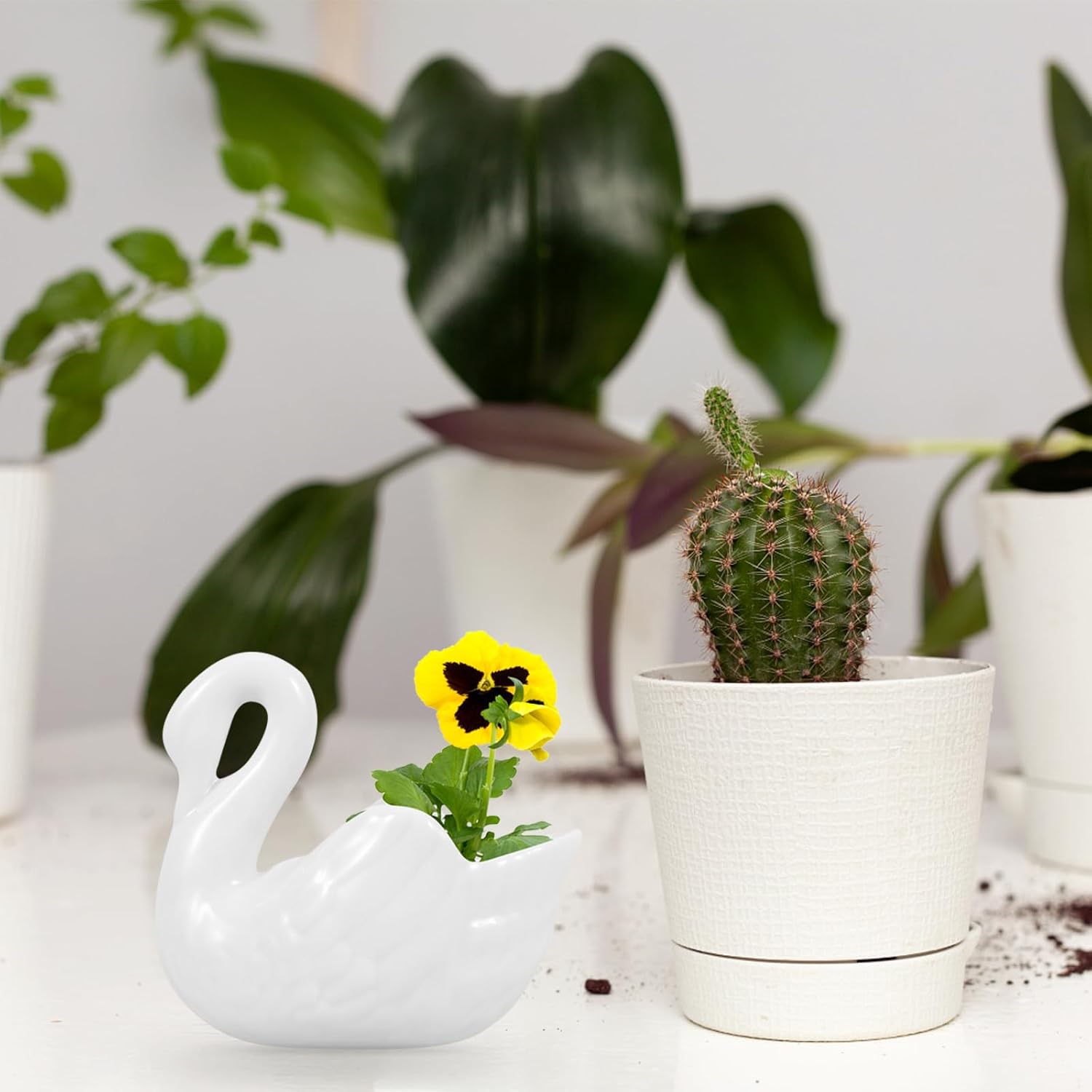 Yardwe Maceta de cisne blanco de cerámica, maceta con forma de cisne para suculentas, decoración del hogar, decoración del jardín (sin agujeros de