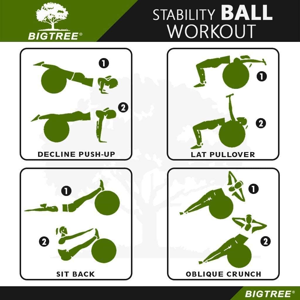 Pelota de ejercicio, pelota de yoga, equilibrio de pilates, antiestallido, con bomba de estabilidad, pelota de fitness, silla de parto para