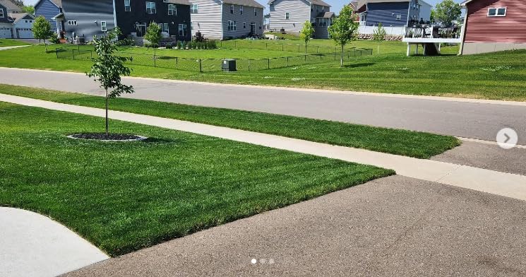 Sun & Shade, Kentucky Bluegrass, Festuca, sol medio y sombra, mantenimiento normal a bajo, bolsa de 1 libra