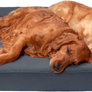 Furhaven – Cama ortopédica para perros, estilo sofá, acolchada, con funda extraíble y lavable, color gris hierro, tamaño jumbo plus (XXL) Furhaven – Cama ortopédica para perros, estilo sofá, acolchada, con funda extraíble y lavable, color gris hierro, tamaño jumbo plus (XXL)