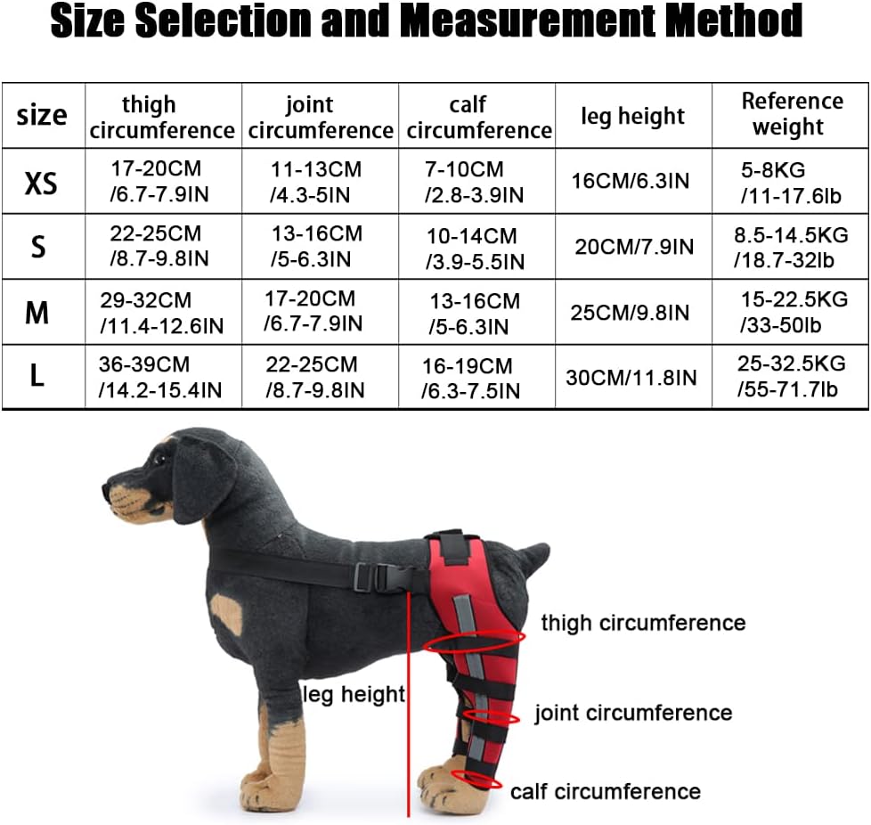 Rodillera ajustable para perro con doble pierna trasera con bisagras de metal soporte flexible y cinturones de seguridad reflectantes, soporte para