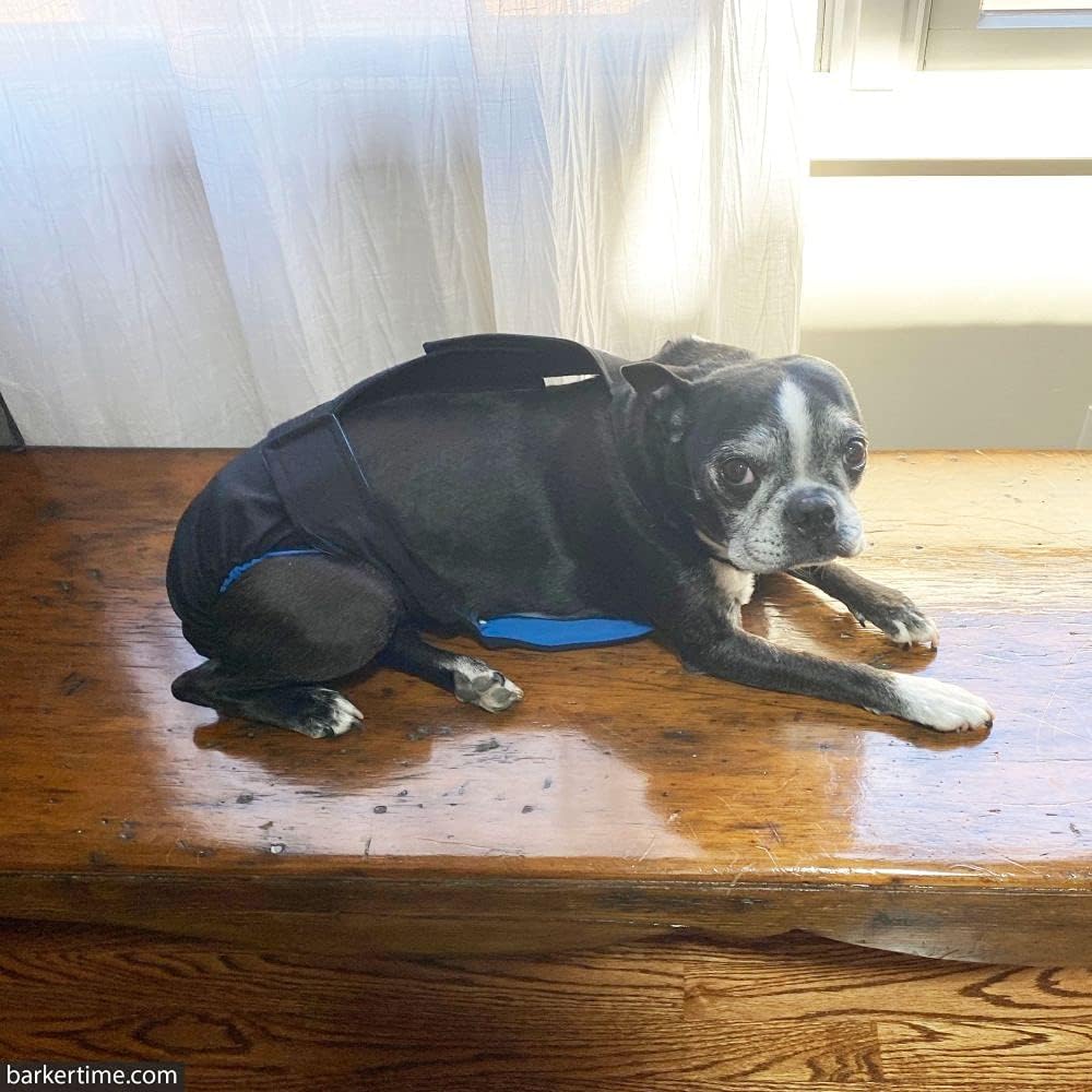 Pañal negro para perro, XXL, con orificio para la cola, fabricado en Estados Unidos