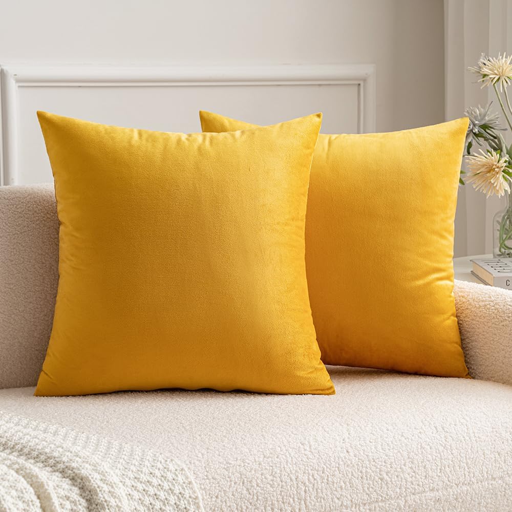 MIULEE – Paquete de 2 fundas de almohada, de terciopelo, funda de almohada decorativa cuadrada, funda de almohada suave y de color liso para sofá o