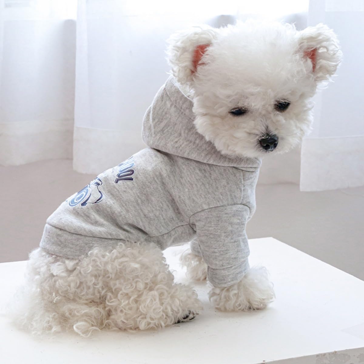 Sudadera con capucha para perro, suéter elegante con estampado para clima frío, abrigo cálido para mascotas, abrigos para clima frío, ropa para