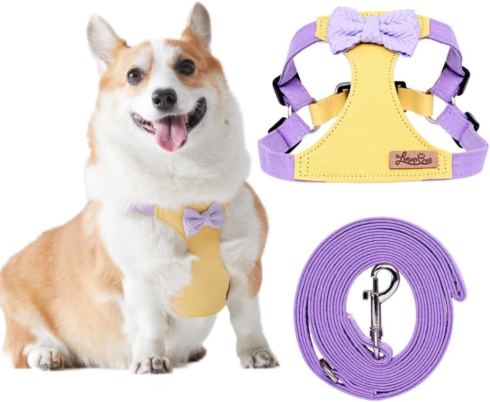 Juego de arnés y correa para mascotas sin tirones, arnés de chaleco ajustable, suave para perros y gatos pequeños y medianos, regalo para mascotas