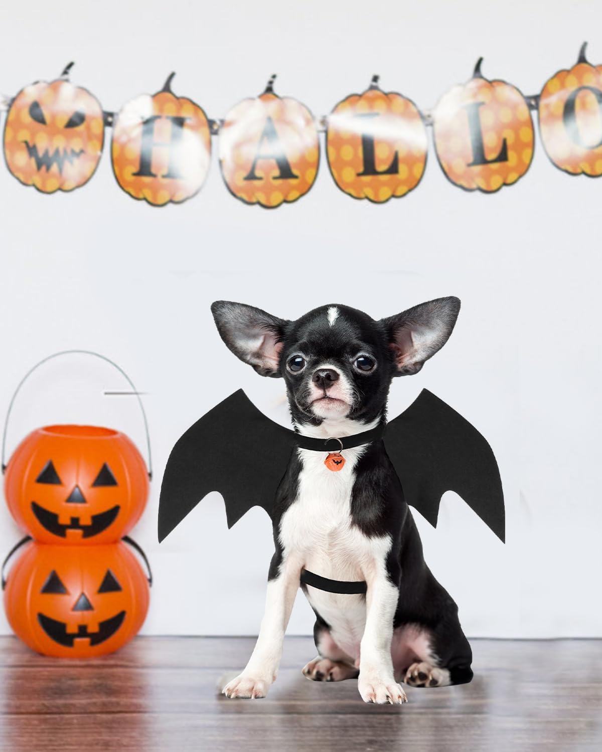 Disfraz de Halloween para perro pequeño, alas de murciélago de perro con campana de calabaza para mascotas, disfraz de fiesta de cosplay de