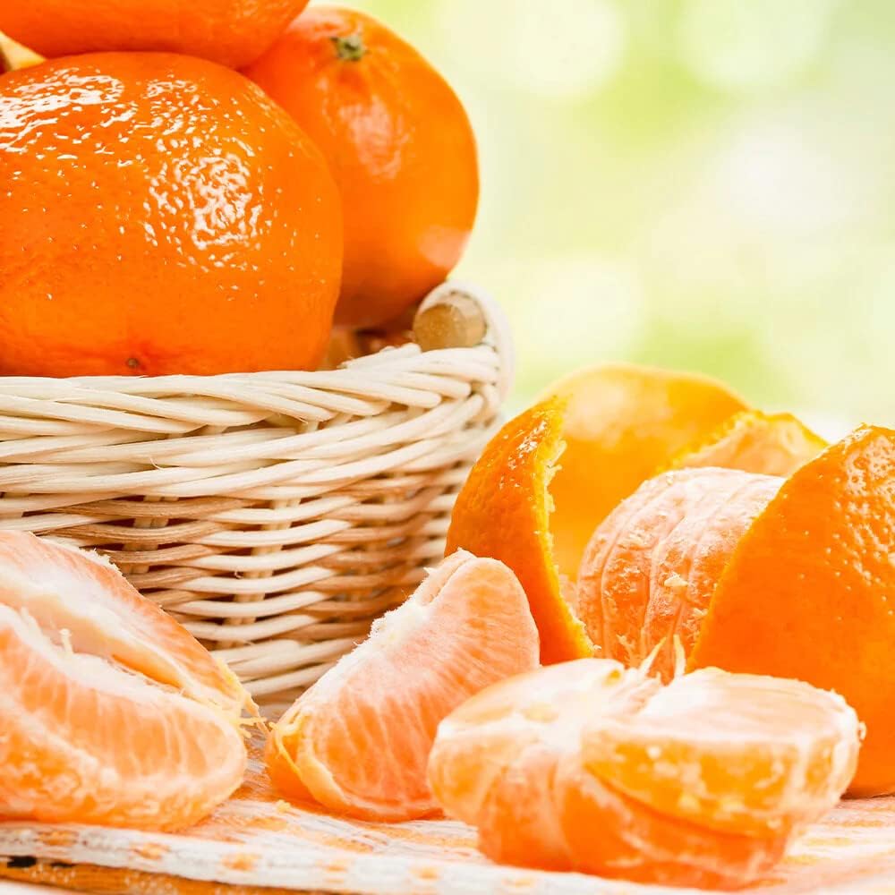 Optimiza el crecimiento y el rendimiento de tu árbol de mandarina con la tierra para macetas premium de Gardenera