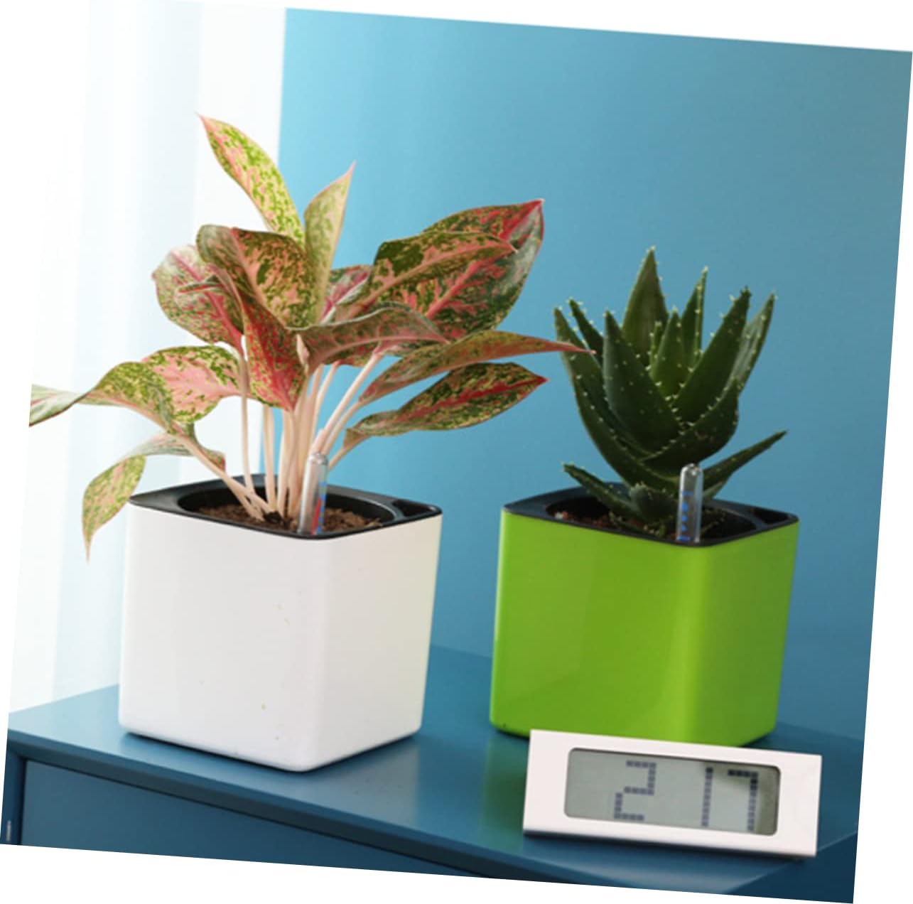 GANAZONO 4 unidades, 1 juego de macetas de riego automático, maceta hidropónica para plantas suculentas, macetas para plantas de interior, macetas