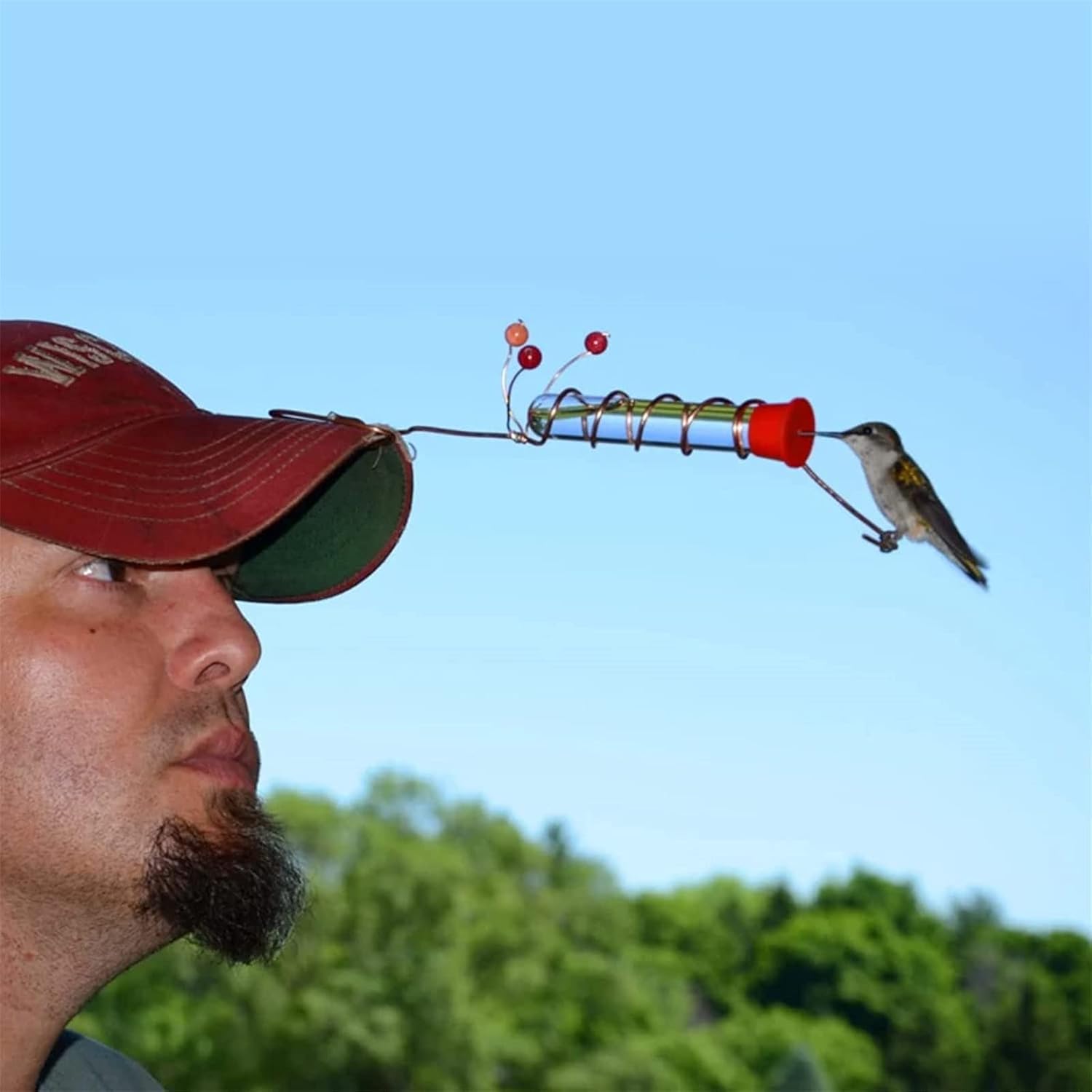 Comedero creativo para colibríes para sombrero, 1 comedero de mano para colibríes con clips, tubo de alimentación de pájaros de bayas rojas para los
