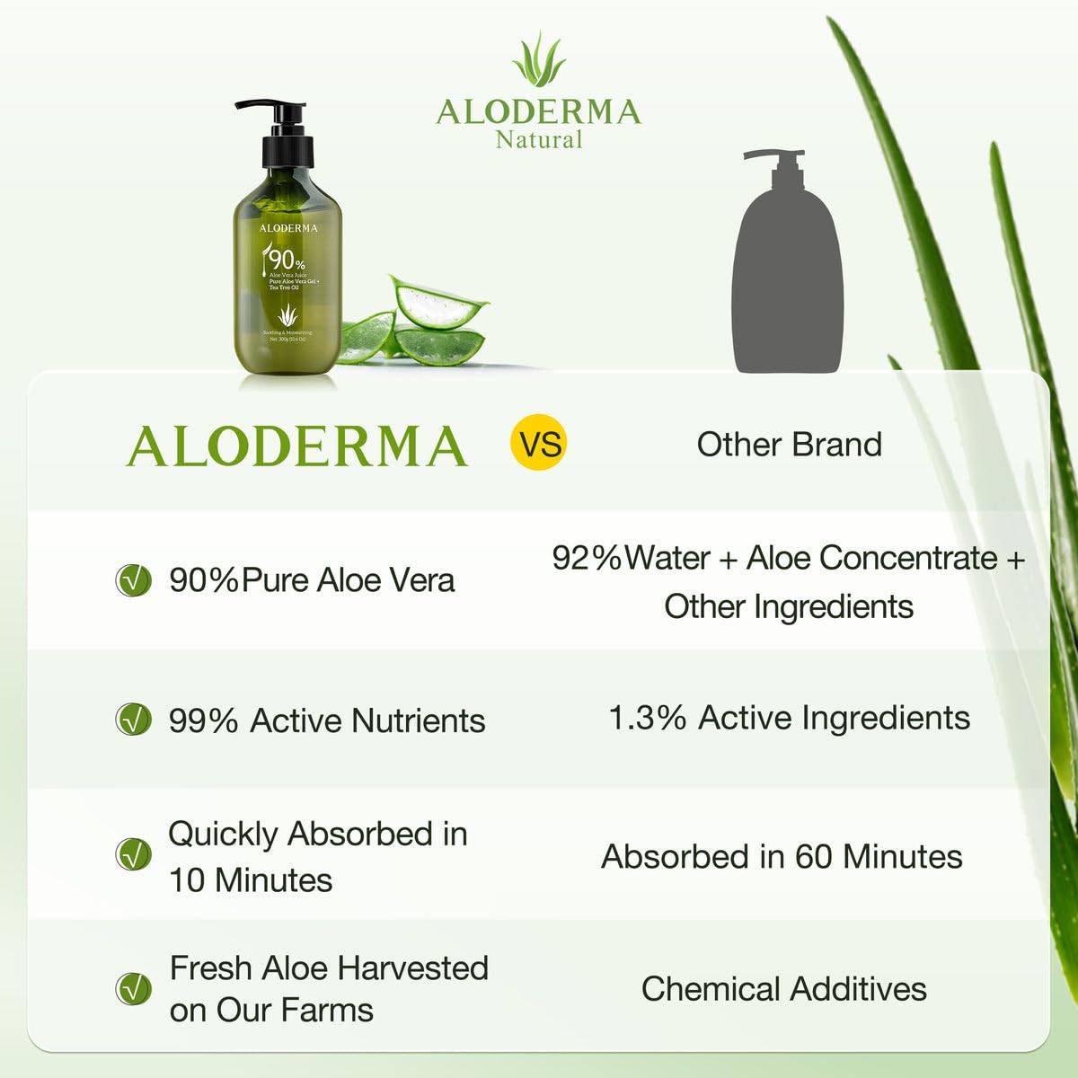 Aloderma Gel orgánico de aloe vera para la piel + aceite de árbol de té, fabricado dentro de las 12 horas de la cosecha, gel de aloe vera puro