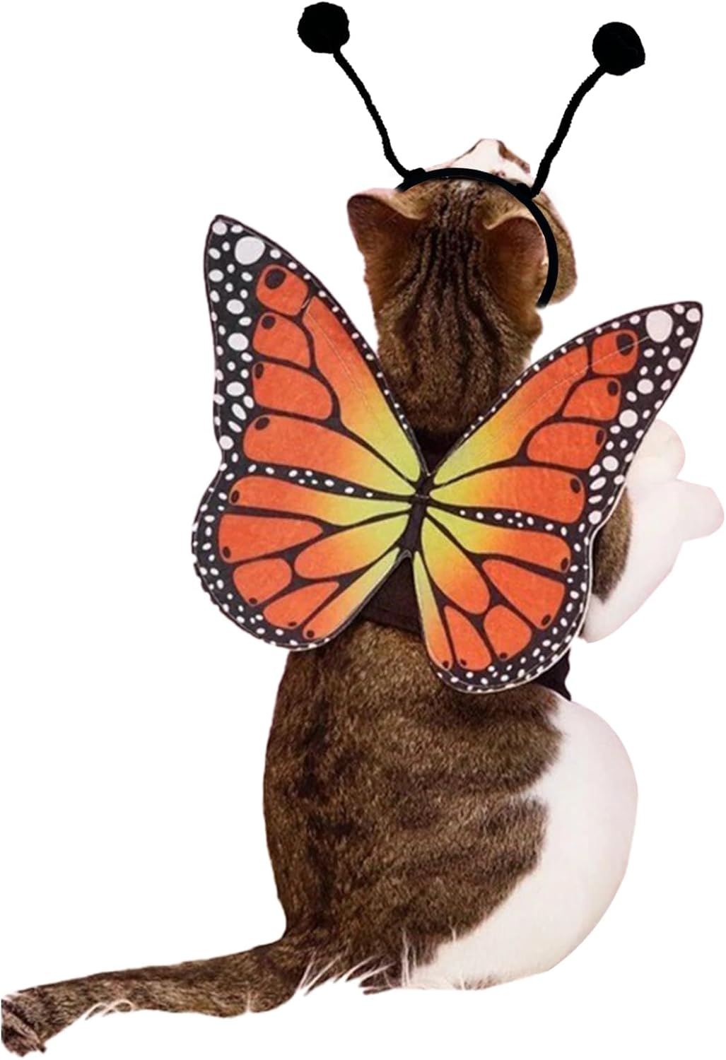 Alas de mariposa de gato, 2 piezas, disfraces para perros pequeños, divertidos diadema de antenas de alas de Halloween, disfraz de cosplay, ropa de