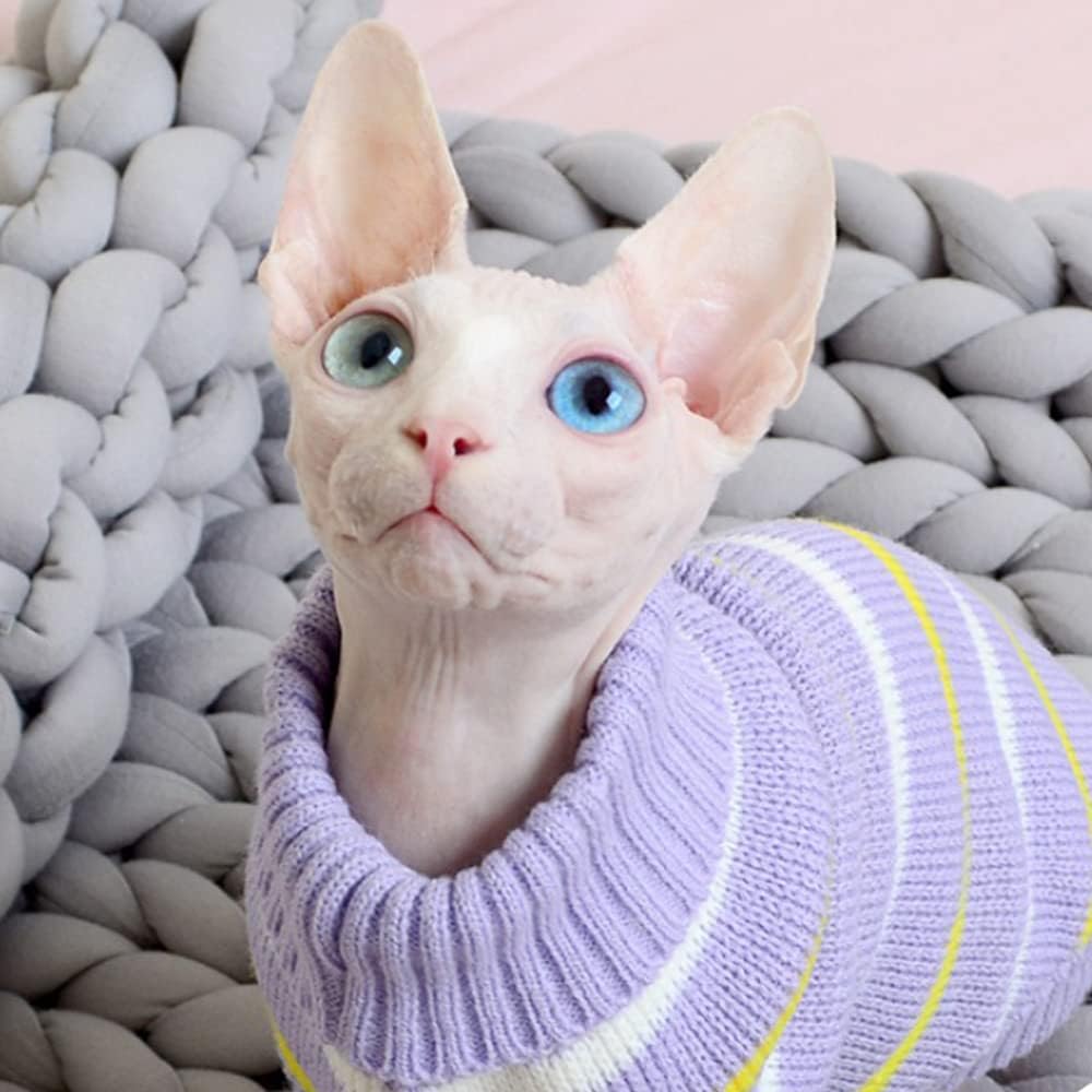 RayMinsino Ropa para gatos para mascotas, ropa para gatos sin pelo, ropa de gatito de cuatro patas de alta elasticidad Ropa para el hogar
