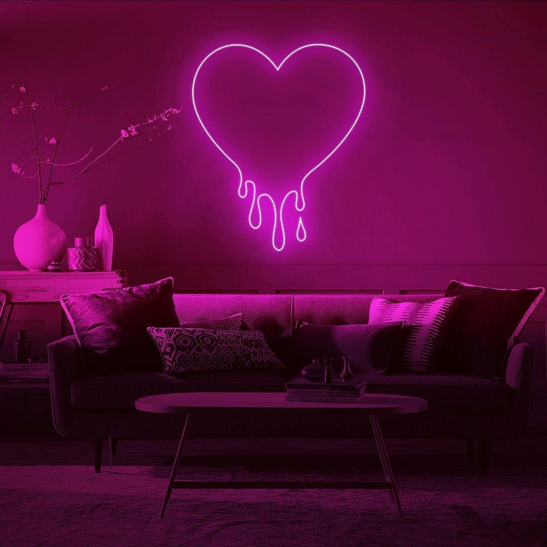 GUPUP Tira de luces de neón con kit de fuente de alimentación y adaptador de cargador de luces LED, tira de luces LED de 16.4 pies para dormitorio y