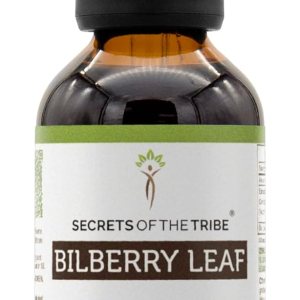 Secrets of the Tribe Extracto de alcohol de tintura de hoja de arándano, gotas de hierbas de alta potencia, tintura hecha de vaccinio de arándano Secrets of the Tribe Extracto de alcohol de tintura de hoja de arándano, gotas de hierbas de alta potencia, tintura hecha de vaccinio de arándano