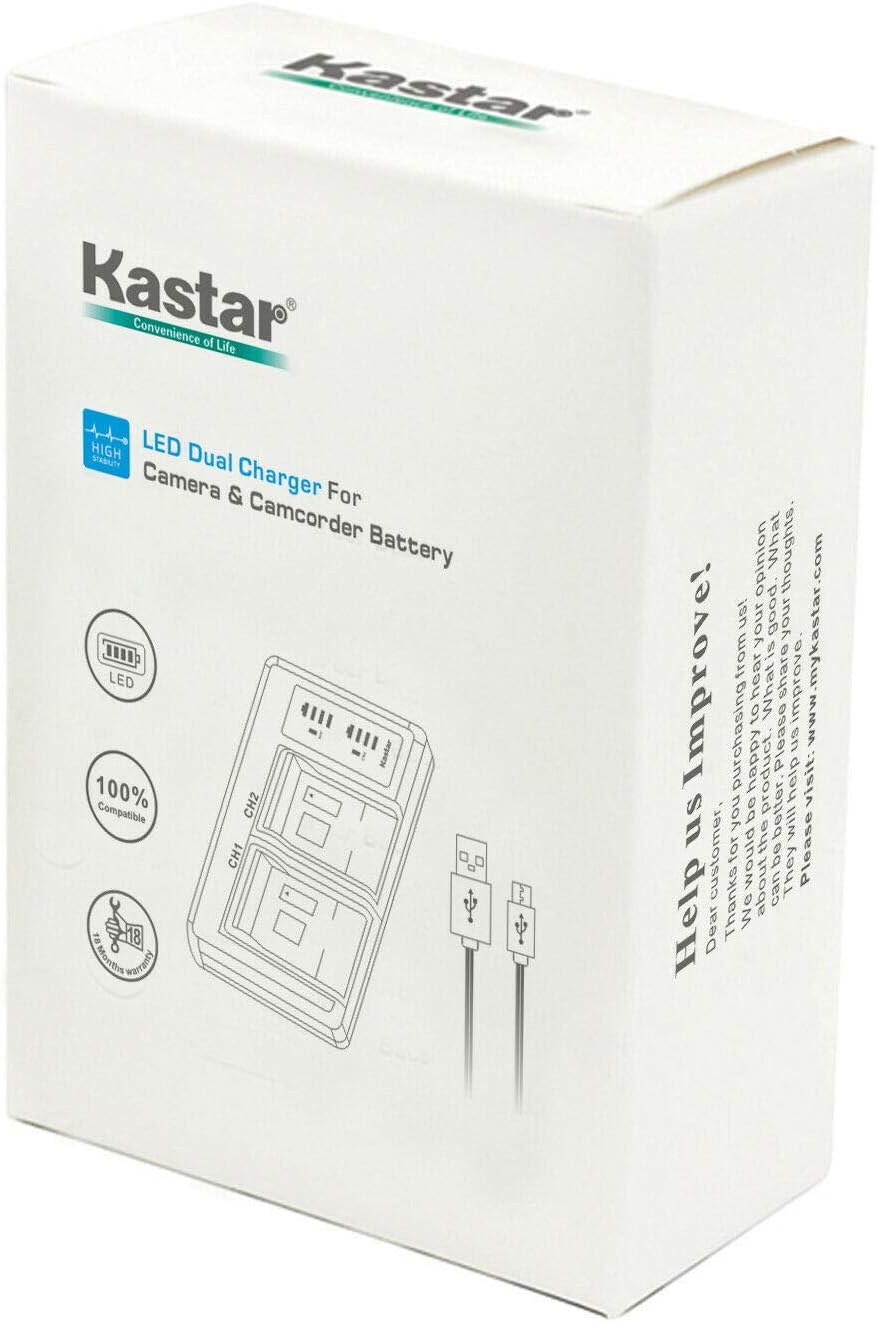 Kastar Paquete de 2 baterías VW-VBG130 y cargador USB LTD2 de repuesto para Panasonic VDR-D50, VDR-D51, VDR-D210, VDR-D220, Panasonic VW-VBG070,