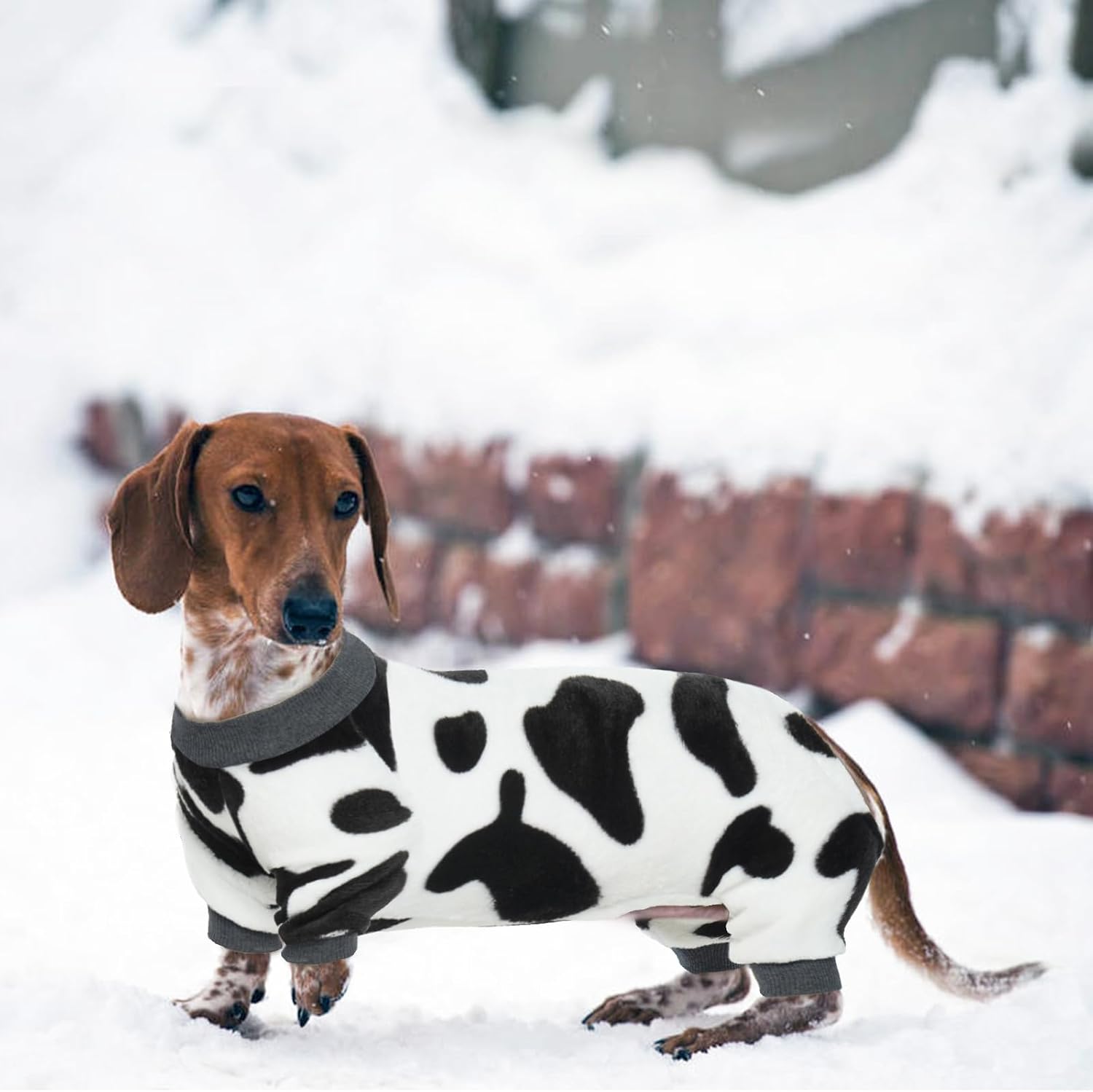 DENTRUN Ropa cálida de invierno para perros pequeños, disfraz divertido de suéter de vaca con leche, disfraz de perro y gato, pijama de franela suave