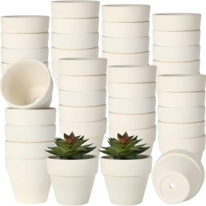 meekoo 100 macetas de terracota de 1.2 pulgadas, color blanco, mini macetas de arcilla con agujeros de drenaje, flores de cactus, macetas de meekoo 100 macetas de terracota de 1.2 pulgadas, color blanco, mini macetas de arcilla con agujeros de drenaje, flores de cactus, macetas de