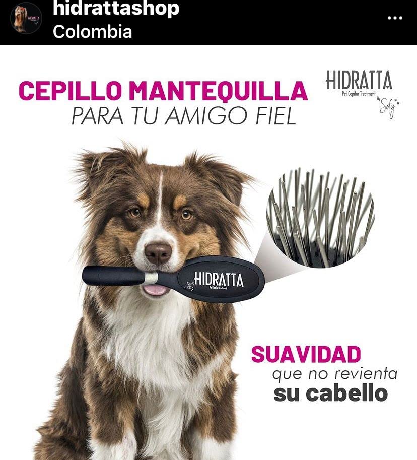 Cepillo para mascotas – cepillo mantequilla