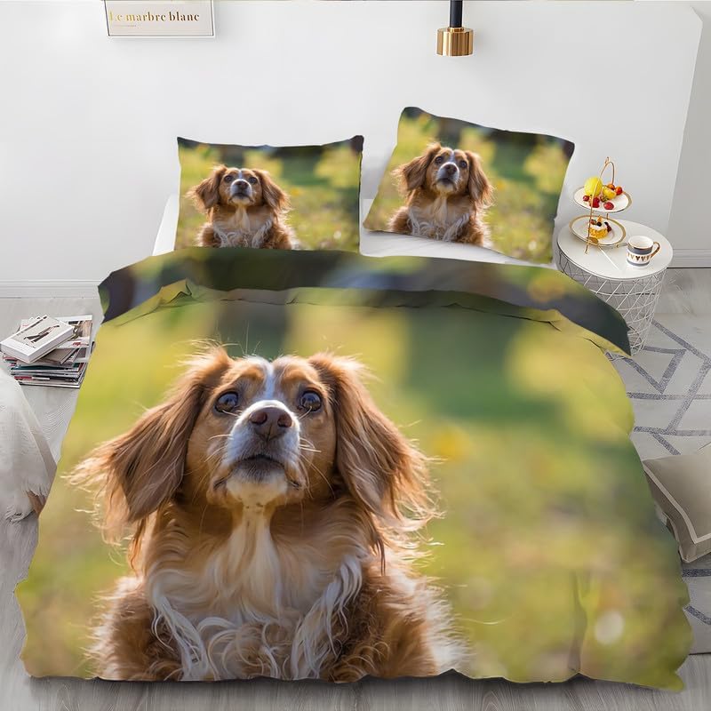 Green Cavalier King Charles Spaniel King – Juego de funda de edredón con estampado de perro, funda de edredón de microfibra suave y 2 fundas de