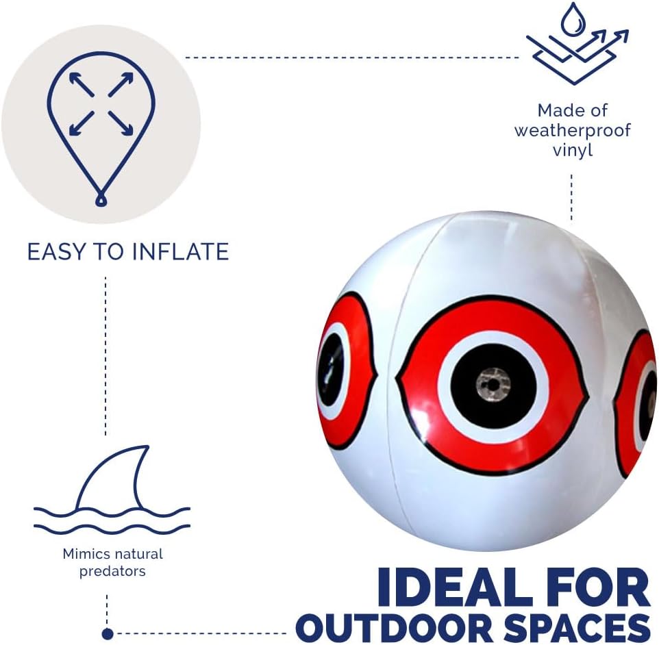 Bird-X Scare Predator – Globos 3D con ojos deslumbrantes y colores brillantes que cubren hasta 6,000 pies cuadrados de área, paquete de 1, color