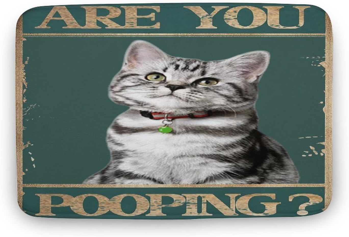 Divertido tapete de baño, tapete de baño con texto en inglés “are you pooping”, tapete de baño de gato, tapete de baño original, vintage, de estaño,