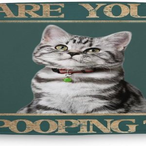 Divertido tapete de baño, tapete de baño con texto en inglés “are you pooping”, tapete de baño de gato, tapete de baño original, vintage, de estaño, Divertido tapete de baño, tapete de baño con texto en inglés “are you pooping”, tapete de baño de gato, tapete de baño original, vintage, de estaño,