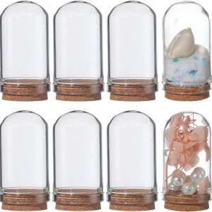 SUNNYCLUE 16 unidades de 1.77 pulgadas Cloche Bell Jar Bell Cloche Cúpula de vidrio Cúpula de cristal con base de corcho, contenedor de SUNNYCLUE 16 unidades de 1.77 pulgadas Cloche Bell Jar Bell Cloche Cúpula de vidrio Cúpula de cristal con base de corcho, contenedor de