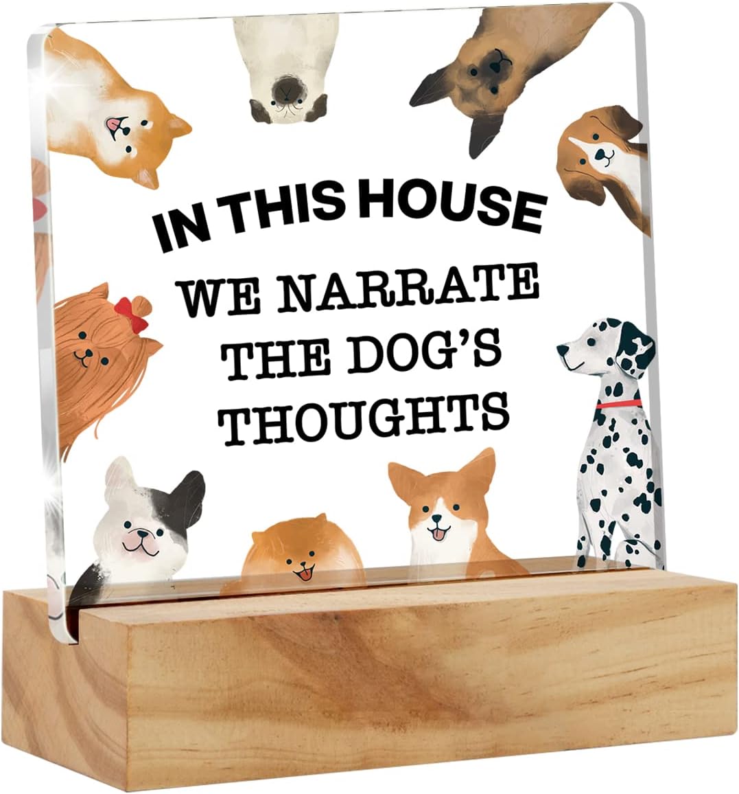 Letrero acrílico para escritorio con frase en inglés “Dog Quote in This Home We Narrate the Dog’s Thoughts”, decoración de escritorio de acrílico