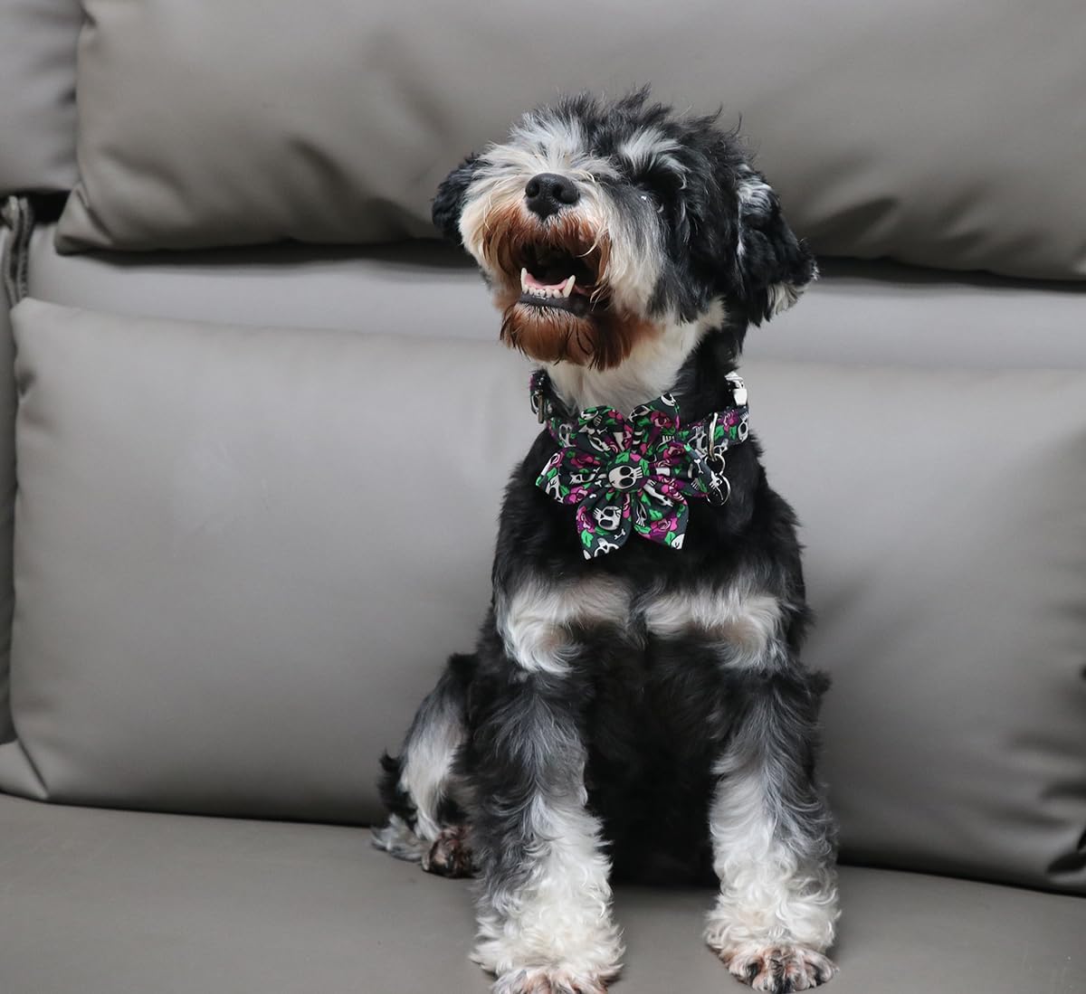 DOGWONG Collar de perro fantasma de Halloween con corbatín, collar de perro de calavera rosa para Halloween, duradero y suave, collar de perro para