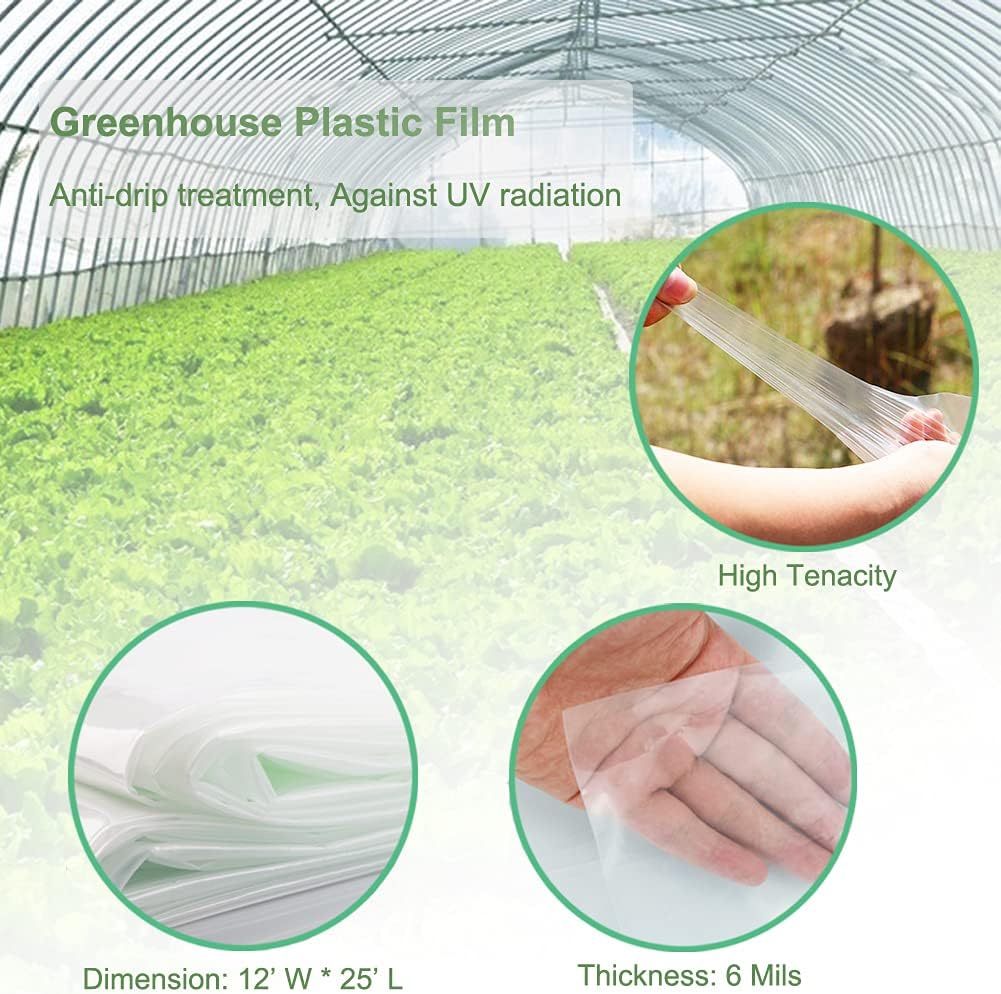 Yowlieu Lámina de plástico transparente para invernaderos de 12 x 25 pies, 6 mil, resistente a los rayos UV, cubierta de plástico para invernaderos,