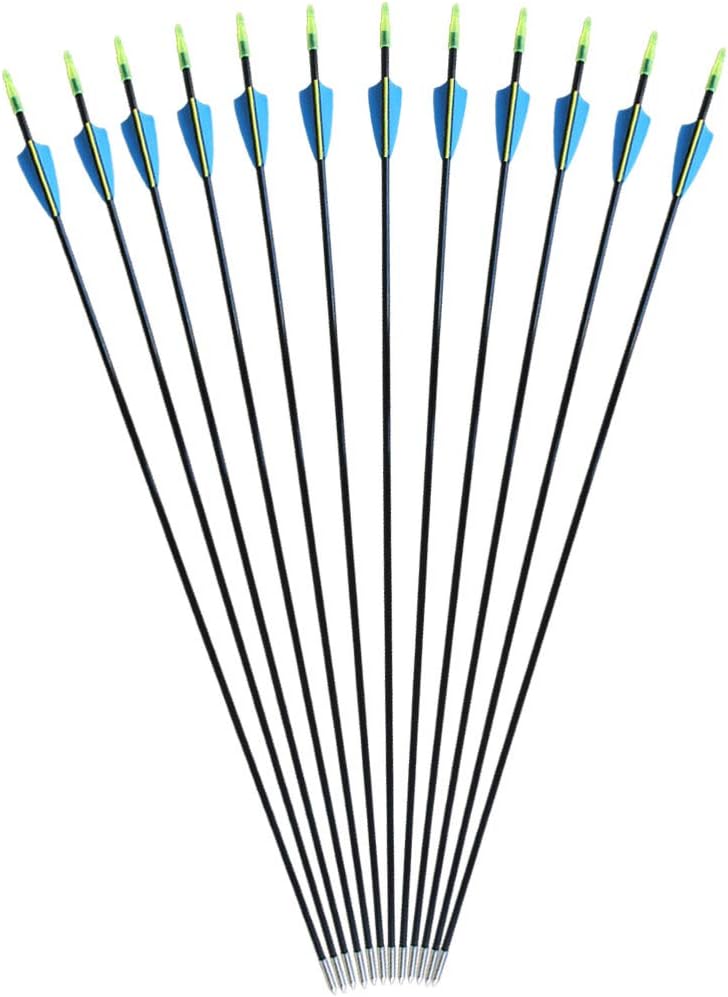 CQ Archery Fiberglass Target Practice Arrows 2830inch Recurve Bow Arrows for Beginners or Kids and Youth(12pcs)