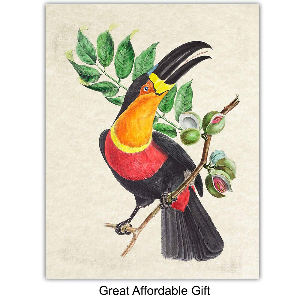 Bird Wall Art – Bird Wall Decor – Tropical Wall Decor – Tropical Birds – Parrot Decorations – Parakeet, Cockatoo, Lovebird, Toucan Wall Art –