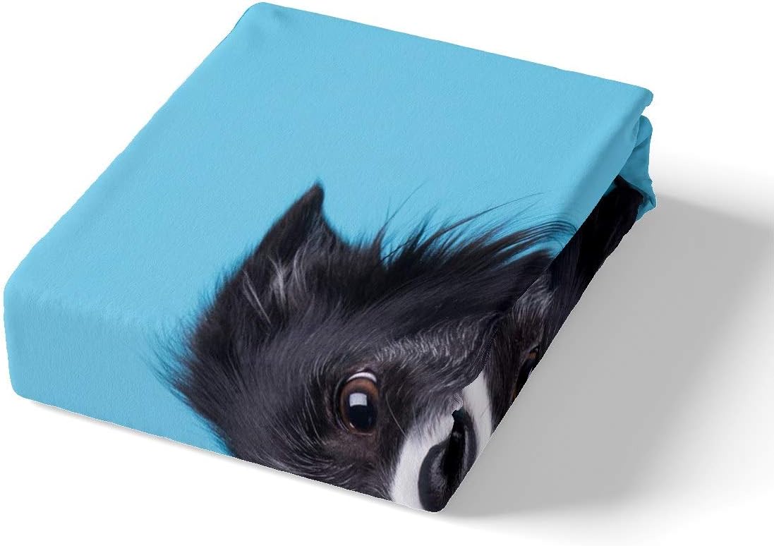 Feelyou 3D Dog Sheets Cute Border Collie Printed Bed Sheet Set Puppy Bedding Set for Kids Boys Girls Animal Theme Fitted Sheet Bedroom Collection