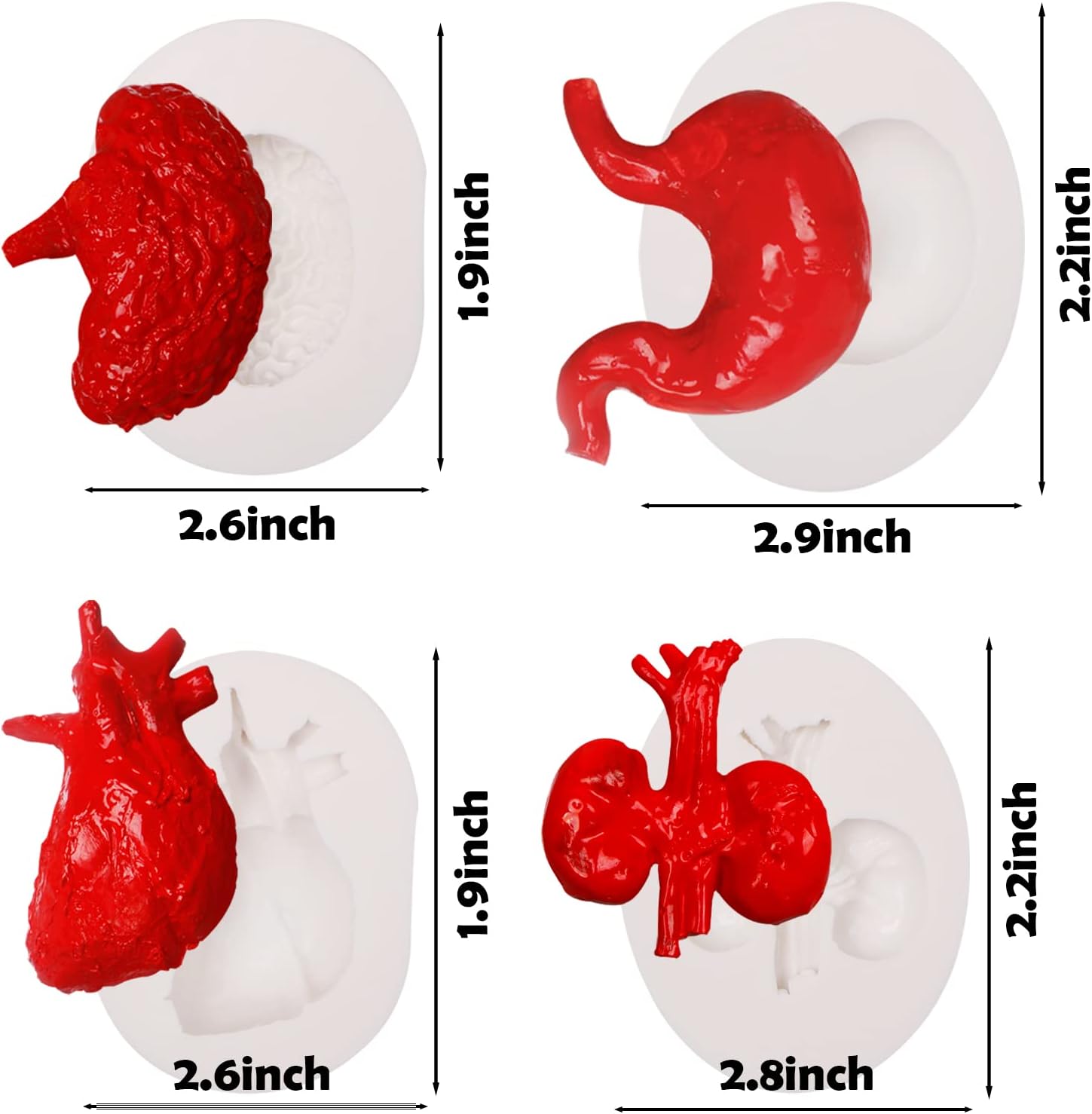 Moldes de silicona para órganos humanos, 8 unidades para Halloween, corazón, cerebro, hígado, estómago intestinal, moldes de fondant de chocolate