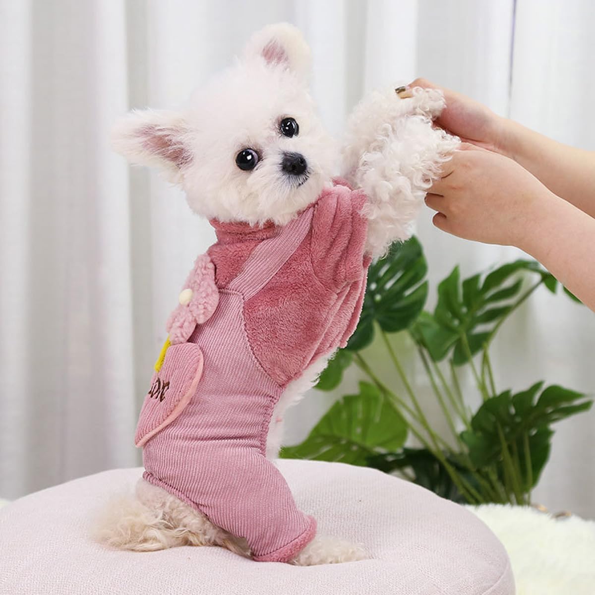 Abrigo de invierno para perro, ropa para cachorros, traje de pana para Halloween, Navidad, sudadera cálida para perro, overol para gato, pijamas