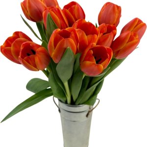 Stargazer Barn 15 tulipanes de especias de calabaza con jarrón ramo de flores frescas, entrega Prime durante la noche, directo a la granja, regalo Stargazer Barn 15 tulipanes de especias de calabaza con jarrón ramo de flores frescas, entrega Prime durante la noche, directo a la granja, regalo