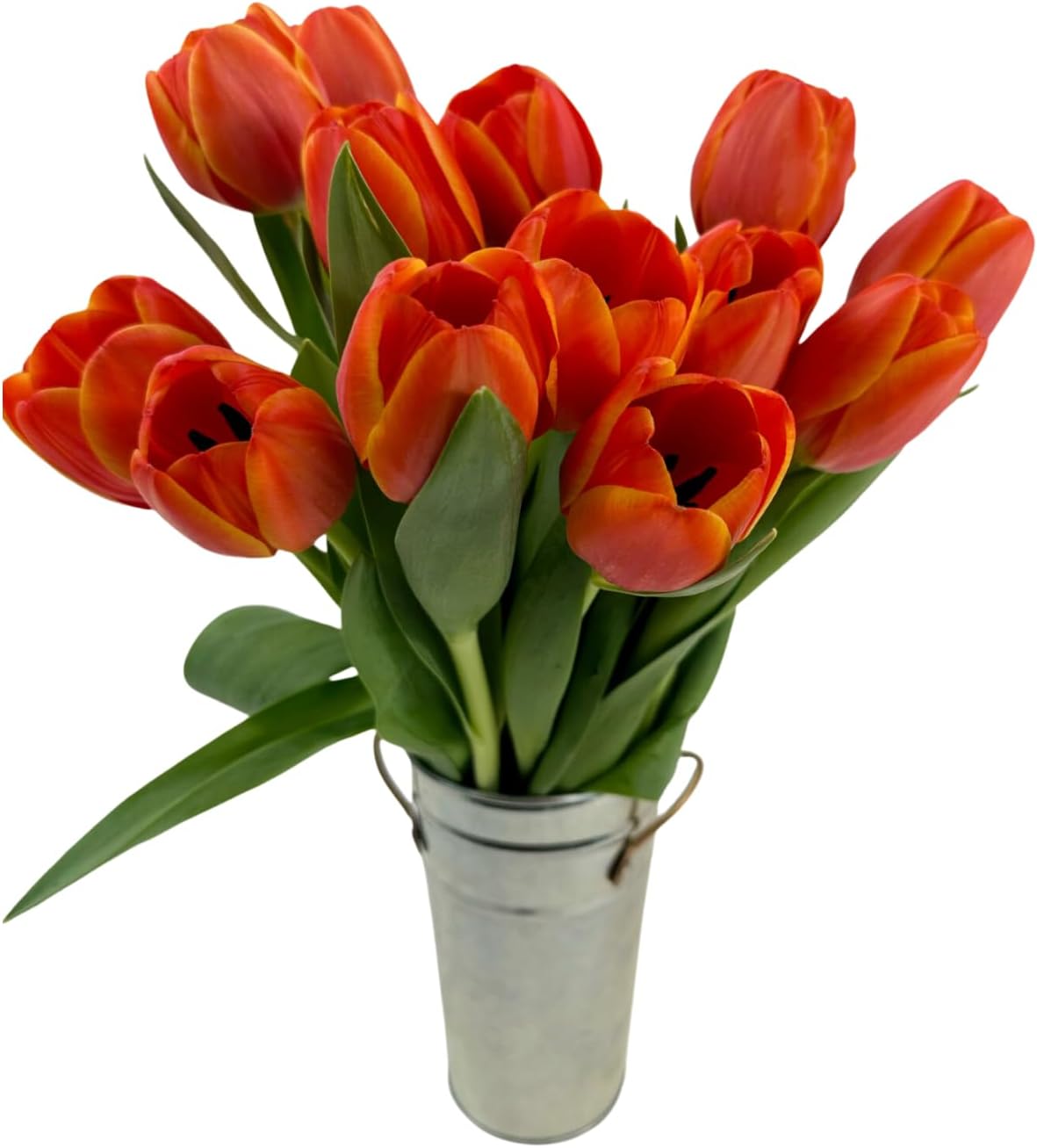 Stargazer Barn 15 tulipanes de especias de calabaza con jarrón ramo de flores frescas, entrega Prime durante la noche, directo a la granja, regalo