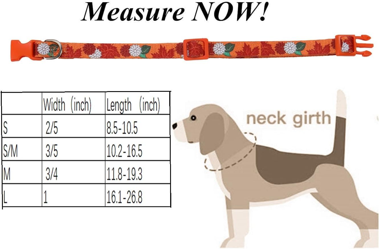 Collar de otoño para perros pequeños, paquete de 2 collares de perro de Acción de Gracias con patrón de arce y flores, ajustable y suave de llevar,