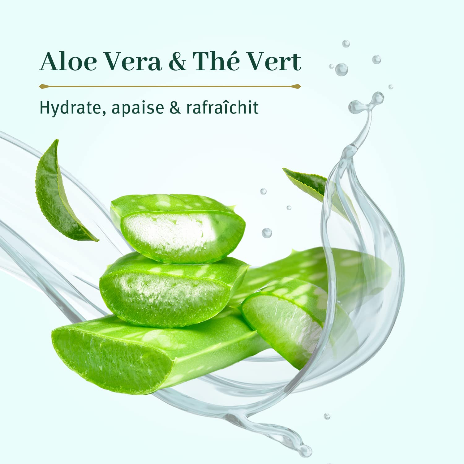 Le Petit Olivier Champú Micelar Purificante – Aloe Vera y té verde – Limpia el cabello – Reduce el exceso de sebo – Adecuado para cabello normal a