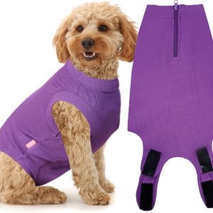 Wabdhaly Traje de recuperación de cirugía para perros, traje pequeño para hembras esterilizadas, machos, perros castrados, cachorros, recuperación Wabdhaly Traje de recuperación de cirugía para perros, traje pequeño para hembras esterilizadas, machos, perros castrados, cachorros, recuperación