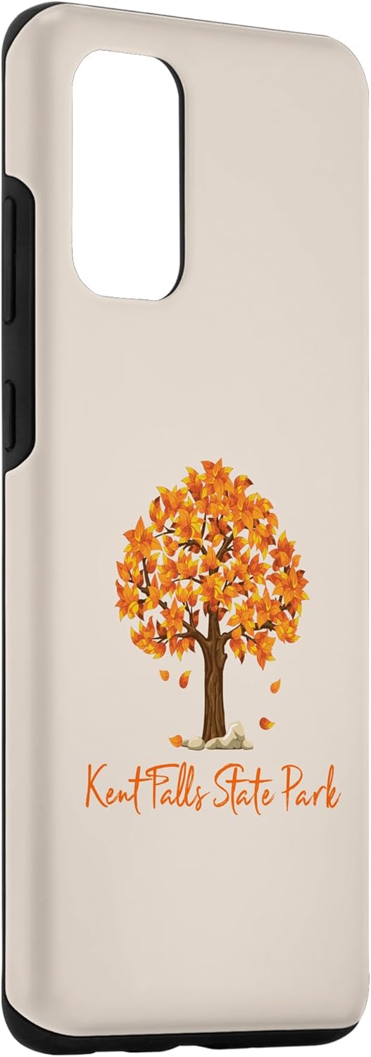 Galaxy S20+ Kent Falls State Park Autumn Foliage Fall Leaf Peeping Color Case