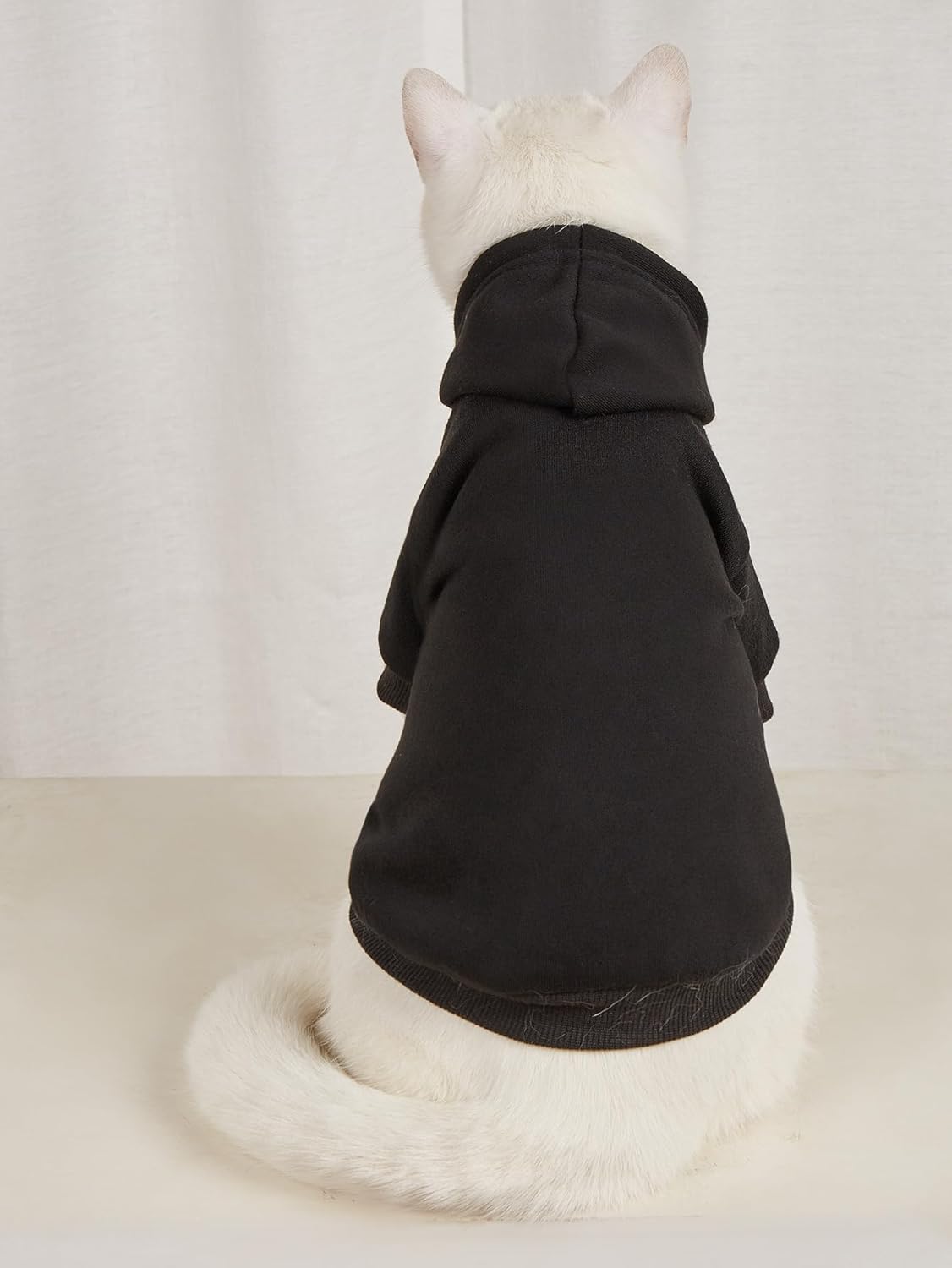 QWINEE Sudadera básica con capucha para perro, chaqueta cálida para perro, ropa para gato, camisa para perro, ropa para cachorros, gatitos pequeños