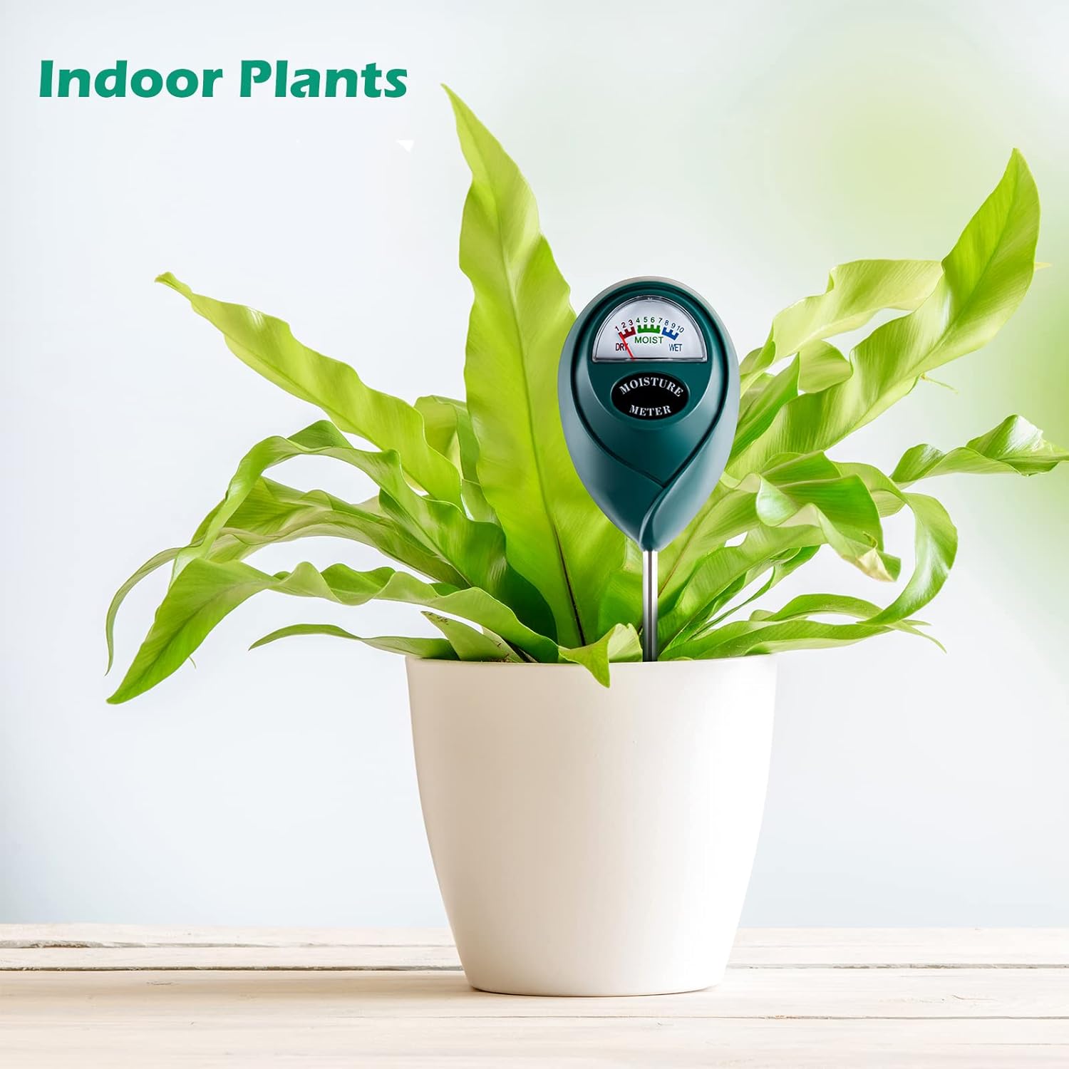 Medidor de humedad del suelo para plantas de interior, pequeña regadera para plantas de interior