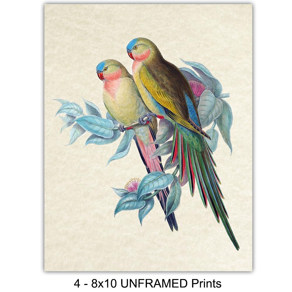 Bird Wall Art – Bird Wall Decor – Tropical Wall Decor – Tropical Birds – Parrot Decorations – Parakeet, Cockatoo, Lovebird, Toucan Wall Art –