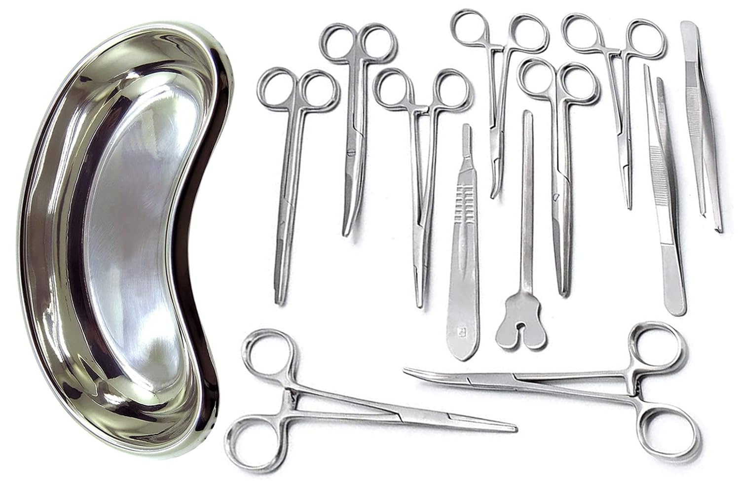 Juego de 13 piezas Basic Surgi Pinzas Tijeras Aguja Titular Kit Acero Inoxidable Riñón Bandeja Instrumentos DS-1465