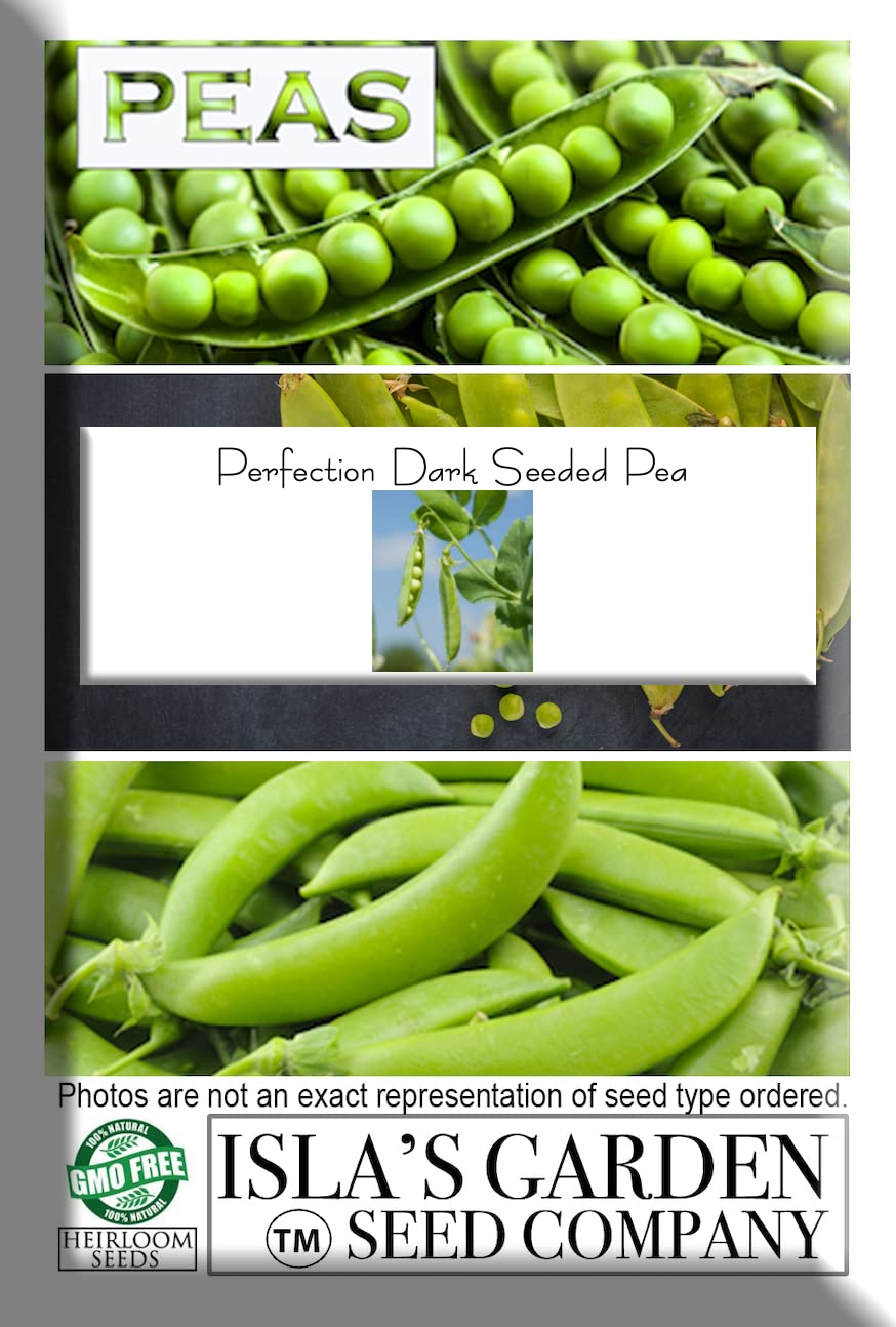 Perfection Semillas de guisantes de jardín de semillas oscuras para plantar, más de 50 semillas tradicionales por paquete, semillas de jardín de