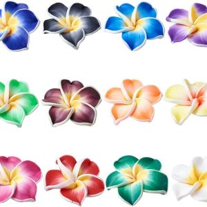 Craftdady 200 cuentas sueltas de arcilla polimérica Plumeria Flower Spacer 0.472×0.315 in colores mezclados al azar 5 pétalos florales abalorios de Craftdady 200 cuentas sueltas de arcilla polimérica Plumeria Flower Spacer 0.472×0.315 in colores mezclados al azar 5 pétalos florales abalorios de